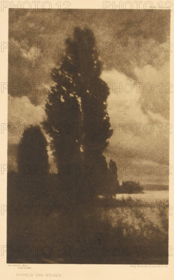 Landscape with poplar, Pappeln und Wolken, page, photomechanical print, photographer: Hans Watzek, cliché maker: Büxenstein & Comp., Georg, Berlin, c. 1898 - in or before 1903, printer (person), paper, photoaquatint, height 210 mm x width 134 mm, Print nine of fourteen prints at the back of the book., landscapes, trees: poplar, A tall, dark, vertically oriented tree occupies the central area, its silhouette sharply contrasted against a lighter, cloud-filled sky; smaller dark tree shapes appear to the left and near the base, and a lighter band suggesting distant water or a reflective surface runs horizontally near the lower right, with soft, grainy textures throughout the image.