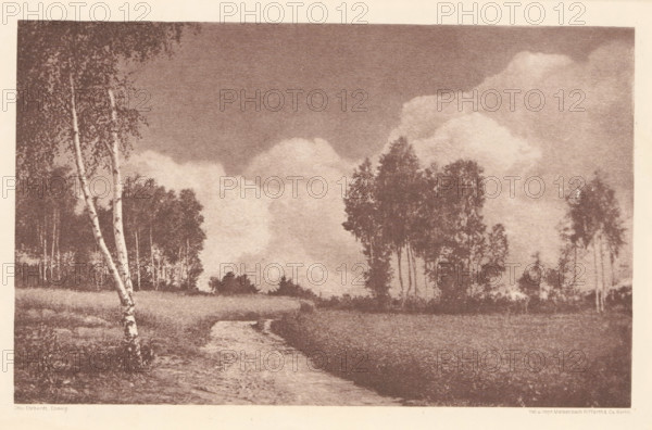 Landscape, with a birch in the foreground, page, photomechanical print, photographer: Otto Erhardt, cliché maker: Meisenbach, Riffarth & Cie., Berlin, c. 1898 - in or before 1903, printer (person), paper, photoaquatint, height 136 mm x width 218 mm, Print eleven of fourteen prints at the back of the book., landscapes, trees: birch, A monochrome landscape showing a dirt path winding through a field toward a distant tree line, with tall slender birch trees in the foreground on the left and groups of darker, denser trees farther back on the right, under a sky filled with large billowing clouds.