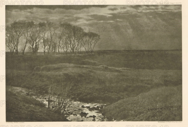 Landscape with trees, 'Sunshine and Rain', page, photomechanical print, photographer: Alfred Horsley Hinton, cliché maker: Meisenbach, Riffarth & Cie., Berlin, publisher: Wilhelm Knapp Verlag, Halle an der Saale, c. 1898 - in or before 1903, printer (person), Saxony-Anhalt, paper, photoaquatint, height 149 mm x width 224 mm, Print thirteen of fourteen prints at the back of the book., landscapes, trees, A wide dark landscape with a cluster of leafless trees standing along the horizon at the left, a cloudy sky above with bands of lighter and darker tones, a low marshy foreground with rough grassy mounds and a narrow stream winding toward the viewer with visible water and scattered rocks, and sparse taller grasses near the stream.
