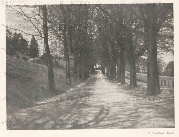 Forest road with trees on either side, page, photomechanical print, photographer: H. Vonachten, cliché maker: Meisenbach, Riffarth & Cie. (possibly), Berlin, c. 1898 - in or before 1903, paper, autotypie, height 147 mm x width 198 mm, road, path, trees, A wide tree-lined pathway extends into the distance, with tall leafless trunks forming a dark tunnel on either side and branching limbs creating a lattice overhead; the ground shows textured shadows and a light surface, a low wall or railing runs alongside the right side, and grassy slopes and clustered trees appear on the left.
