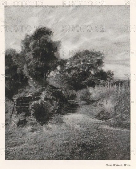 Landscape, page, photomechanical print, monogram: 'AG', photographer: Hans Watzek, cliché maker: unknown, c. 1898 - in or before 1903, paper, autotypie, height 185 mm x width 150 mm, landscapes, A grainy black and white scene showing a dirt path winding past dense foliage and tall trees, with leafy branches forming dark textured masses against a lighter, cloudy sky; a wooden fence and overgrown grasses appear along one side of the path, and patches of brush and shrubs fill the foreground and midground, creating a moody, natural landscape.