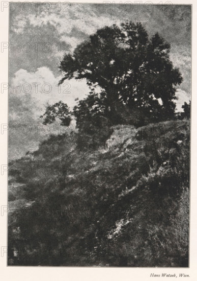 Landscape with tree, page, photomechanical print, monogram: 'LEIPZIG, S G', photographer: Hans Watzek, cliché maker: unknown, c. 1898 - in or before 1903, paper, autotypie, height 193 mm x width 134 mm, Print on fourth unnumbered page after page 160., landscapes, trees, A grainy black-and-white image showing a large, leafy tree atop a sloped, rocky hillside with textured ground cover; the tree's dark silhouette contrasts against a cloudy sky with lighter, diffuse cloud formations behind and around the tree.
