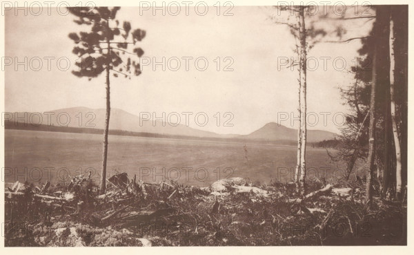 View of Aziscohos and Observatory Mountain, with Rangeley Lake in the foreground in Maine, Aziscohos and Observation Mountains, Rangeley Lake, page, photomechanical print, c. 1875 - in or before 1880, North America, Maine, paper, collotype, photogravure, height 103 mm x width 174 mm, lake, mountains, A sepia-toned landscape photograph showing a calm body of water stretching across the middle of the image with low, gently sloping hills visible on the far shore. In the foreground there is a grassy, uneven shoreline scattered with rocks, roots, and pieces of driftwood. Several tall, slender trees rise from the shoreline; one tree with a sparse cluster of needles stands toward the left, a pair of pale, straight trunks appear near the right center, and darker, denser tree trunks and branches frame the far right edge. The sky above the water is clear and light, occupying a large portion of the upper half of the image.