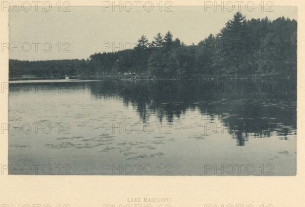 View of Lake Mascuppic, Lake Mascuppic, page, photomechanical print, Mascuppic Lake, maker: attributed to Forbes Lithograph Manufacturing Company, c. 1887 - in or before 1892, photographer, North America, Massachusetts, Middlesex (Massachusetts), Attributed to, paper, collotype, photoprint, height 106 mm x width 182 mm, forest, wood, public gardens, park, gate, entrance, A wide view of a calm lake with a tree-lined shoreline along the upper edge, dark silhouettes of evergreen trees reflected in the water, a small light-colored structure near the shore, a pale sky above, and scattered patches of lighter tones on the water surface.