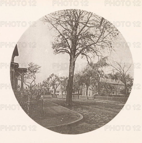 Chestnut tree on Brattle Street in Cambridge, page, photomechanical print, photographer: William James Stillman, Cambridge (MA), cliché maker: anonymous, United States of America, c. 1866 - in or before 1876, North America, Massachusetts, paper, collotype, photoprint, height 154 mm x width 151 mm, facade (of house or building), trees: chestnut-tree, A circular, sepia-toned photograph shows a large, leafless tree with a thick trunk and many branching limbs centered in a street scene, smaller trees with sparse foliage surround it, a paved sidewalk curves around the tree leading toward the foreground, a wrought-iron fence and porch of a building appear at the left edge, a two-story house with visible windows and a pitched roof stands behind the tree on the right, a picket fence runs along the street, and various rooftops and chimneys are visible in the background.