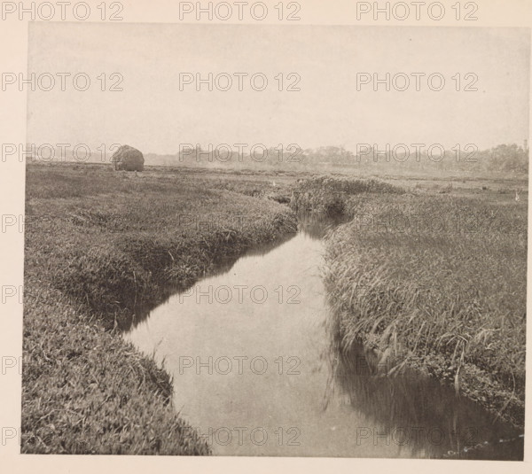 View of the swamp at Cambridge, page, photomechanical print, photographer: William James Stillman, Massachusetts, cliché maker: anonymous, United States of America, c. 1866 - in or before 1876, North America, paper, collotype, photoprint, height 148 mm x width 175 mm, swamp, inland marsh, fens, A monochrome landscape shows a narrow meandering stream bordered by tall grasses and marshy vegetation, with the water reflecting the sky; a rounded haystack or mound sits on the distant flat field, and a low line of trees or shrubs marks the horizon under a pale sky.