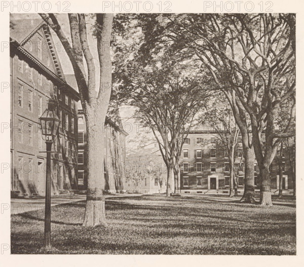 View of buildings of Harvard College in Cambridge, page, photomechanical print, photographer: William James Stillman, Cambridge (MA), cliché maker: anonymous, United States of America, c. 1866 - in or before 1876, North America, Massachusetts, paper, collotype, photoprint, height 149 mm x width 177 mm, facade (of house or building), university building, college, Harvard College, A sepia-toned scene showing a grassy courtyard framed by tall trees with wide trunks and branching canopies, a row of multi-story brick buildings with evenly spaced windows partially visible behind the trees, a vintage street lamp on a post near the left foreground, shadows of tree trunks and branches cast across the lawn, and architectural details such as window frames, cornices, and doorways on the buildings.