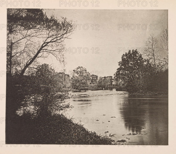 View of the Charles in Cambridge, page, photomechanical print, photographer: William James Stillman, Cambridge (MA), cliché maker: anonymous, United States of America, c. 1866 - in or before 1876, North America, Massachusetts, paper, collotype, photoprint, height 149 mm x width 178 mm, river, A sepia-toned scene of a river flanked by trees with bare branches on the left and fuller foliage on the right, a calm reflective water surface with scattered leaves, overhanging branches from the left reaching toward the center, dense undergrowth along the near bank, and a distant treeline across the water under a pale sky.
