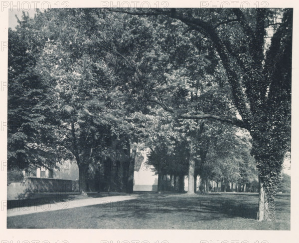 Blake Row, photograph, page, photographer: Edward H. Hart, United States Naval Academy, cliché maker: The Photo-gravure Co., New York (city), c. 1885 - in or before 1890, North America, Maryland, Annapolis, paper, collotype, photoprint, height 185 mm x width 237 mm, facade (of house or building), military academy, A shaded tree-lined pathway with large leafy trees on both sides, their trunks and branches creating a canopy and casting dappled shadows on the grass and path below, a low brick wall visible along the left side with steps leading up, a building partially seen behind the trees on the left, and an open lighter area in the distance between the trees.