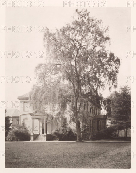 Library and superintendent's office, photograph, page, photographer: Edward H. Hart, United States Naval Academy, cliché maker: The Photo-gravure Co., New York (city), c. 1885 - in or before 1890, Edward H. Hart, The Photo-gravure Co., photographer, cliché maker, North America, Maryland, Annapolis, paper, collotype, photoprint, height 235 mm x width 182 mm, facade (of house or building), public library, military academy, A large tree with a full canopy dominates the foreground, its trunk and branches extending upward and outward with many thin, hanging leaves; behind and partly obscured by the tree is a multi-story brick building with classical architectural elements including a columned portico with steps leading up to it, rectangular windows, and a pitched roof; shrubs and smaller trees surround the base of the building, and a broad expanse of grass fills the lower portion of the scene.