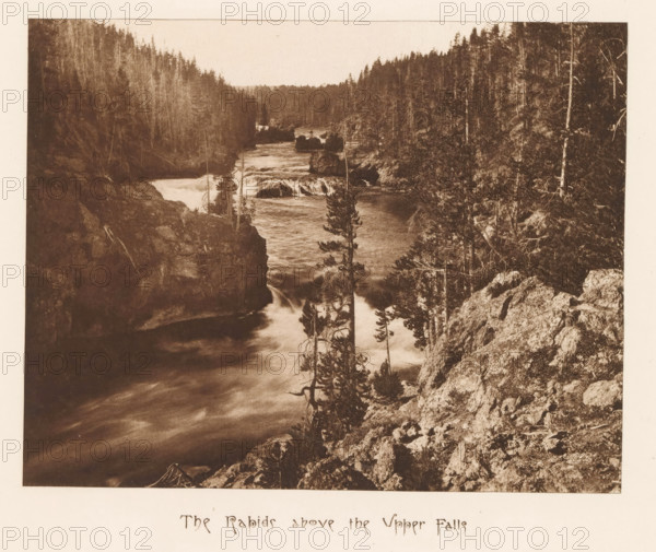 The rapids above the Upper Falls, page, photomechanical print, photographer: Frank Jay Haynes, Yellowstone National Park, cliché maker: The Photo-gravure Co., New York (city), c. 1882 - in or before 1887, North America, paper, photoaquatint, height 163 mm x width 209 mm, river, rapids, Yellowstone, A sepia-toned photograph of a river flowing through a rocky canyon with rapids and small waterfalls, flanked by densely forested hillsides with tall, slender trees and exposed rock faces, a few isolated trees growing on rocky ledges near the water, and textured rock formations in the foreground.