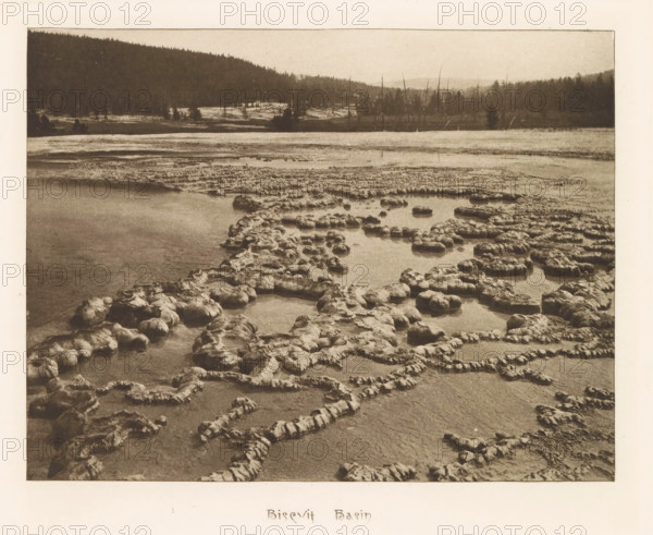 Biscuit Basin, page, photomechanical print, photographer: Frank Jay Haynes, Yellowstone National Park, cliché maker: The Photo-gravure Co., New York (city), c. 1882 - in or before 1887, North America, paper, photoaquatint, height 164 mm x width 215 mm, pond, pool, A sepia-toned landscape photograph showing a shallow body of water with irregular circular and ring-shaped mineral formations rising above the water surface, the formations varying in size and clustered across the foreground and middle ground, smooth water pooling inside some rings and flowing around others, a distant shoreline with low grassy or marshy areas, scattered trees, and a background of forested hills under a pale sky.