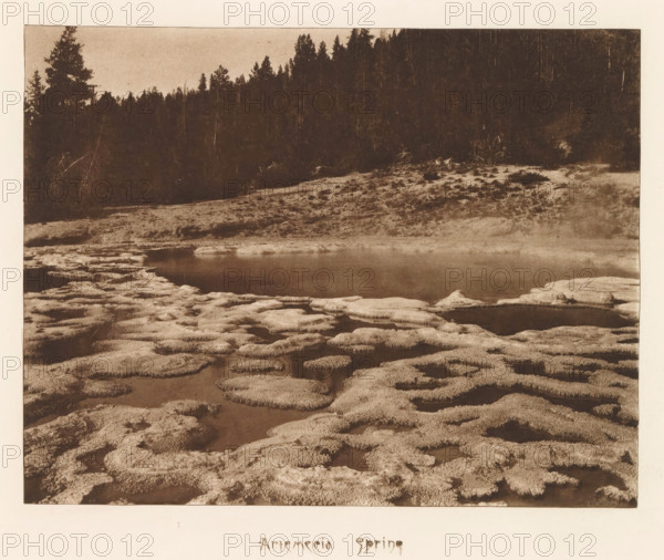 Artemesia Spring, page, photomechanical print, photographer: Frank Jay Haynes, Yellowstone National Park, cliché maker: The Photo-gravure Co., New York (city), c. 1882 - in or before 1887, North America, paper, photoaquatint, height 164 mm x width 215 mm, pond, pool, hot spring, geyser, Artemisia Geyser, A sepia-toned photograph showing a shallow body of water surrounded by irregular, lumpy mineral formations in the foreground and midground, with smooth reflective pools among the textured mounds; a sloping bank rises behind the water, covered with low vegetation and scattered patches of exposed ground; a dark stand of conifer trees forms the background along the horizon, their silhouettes contrasting with the lighter sky above.