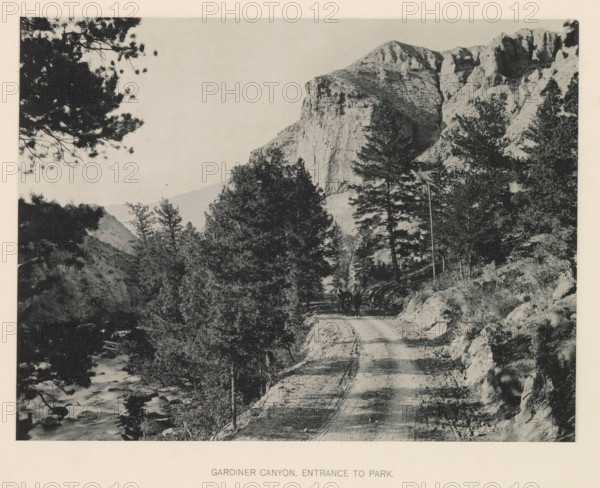 Gardiner Canyon, entrance to park, page, photomechanical print, photographer: Frank Jay Haynes, Yellowstone National Park, cliché maker: The Photo-gravure Co., New York (city), c. 1886 - in or before 1891, North America, paper, collotype, photoprint, height 162 mm x width 215 mm, public road, Lower Yellowstone Falls, A black and white photograph shows a dirt road cutting through a forested canyon with tall rocky cliffs rising on the right side; evergreen trees line both sides of the road and a narrow stream flows along the left side with visible rocks in the water; a horse-drawn wagon with figures is on the road in the middle distance; tree branches extend into the sky from the top left corner and rocky outcrops and slopes are visible on the canyon walls.