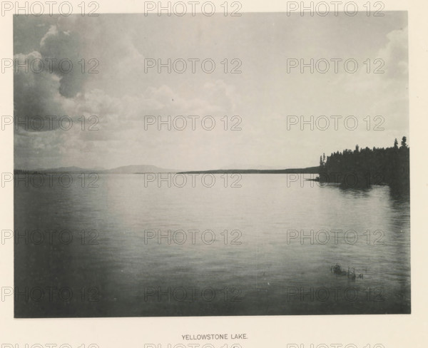 Yellowstone Lake, page, photomechanical print, photographer: Frank Jay Haynes, Yellowstone National Park, cliché maker: The Photo-gravure Co., New York (city), c. 1886 - in or before 1891, North America, paper, collotype, photoprint, height 165 mm x width 215 mm, lake, Yellowstonemeer, A wide body of calm water fills the foreground and middle ground, reflecting the sky above and showing gentle ripples; a dark treeline projects from the right shore into the water, with taller individual trees silhouetted against the lighter sky; distant low hills are visible along the far shoreline on the left and center; the sky is filled with layered clouds ranging from darker masses on the left to lighter, more diffuse clouds toward the center and right; a small cluster of aquatic plants emerges near the right foreground edge of the water.