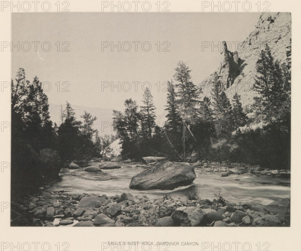 Eagle's nest rock, Gardiner canyon, page, photomechanical print, photographer: Frank Jay Haynes, Yellowstone National Park, cliché maker: The Photo-gravure Co., New York (city), c. 1886 - in or before 1891, Frank Jay Haynes, The Photo-gravure Co., photographer, cliché maker, North America, paper, collotype, photoprint, height 164 mm x width 214 mm, river, rock-formations, Gardner (Wyoming), A black-and-white photographic scene showing a rocky river foreground with scattered rounded stones and a large boulder partially in the water, a flowing stream leading toward a stand of tall coniferous trees along the banks, denser trees silhouetted against a pale sky, and a steep rocky cliff rising at the right with a prominent jagged rock formation near its top.
