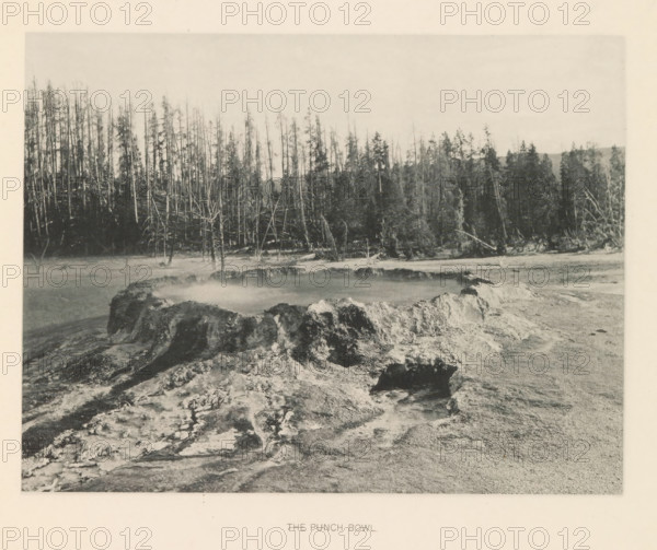 Punch Bowl, page, photomechanical print, photographer: Frank Jay Haynes, Yellowstone National Park, cliché maker: The Photo-gravure Co., New York (city), c. 1886 - in or before 1891, North America, paper, collotype, photoprint, height 165 mm x width 215 mm, hot spring, geyser, A monochrome landscape showing a rocky, uneven foreground with rough textured formations and a shallow depression containing water, a treeline of tall, thin trunks with sparse foliage rising behind the water, many fallen and leaning trunks among standing trees, and a pale sky above.