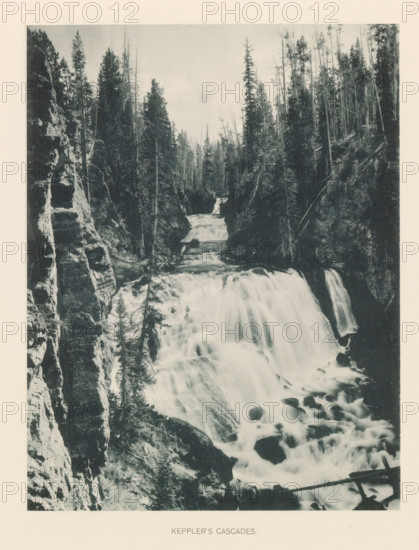 Keppler's cascades, page, photomechanical print, photographer: Frank Jay Haynes, Yellowstone National Park, cliché maker: The Photo-gravure Co., New York (city), c. 1886 - in or before 1891, Frank Jay Haynes, The Photo-gravure Co., photographer, cliché maker, North America, paper, collotype, photoprint, height 216 mm x width 165 mm, rapids, Kepler Cascades, A vertical black-and-white photograph of a cascading waterfall flowing between rocky cliffs and dense conifer trees, with water tumbling over multiple drops and swirling among rocks at the base, steep textured rock faces visible on the left, tall slender trees lining both sides of the gorge, fallen logs and scattered boulders near the rushing water, and a pale sky above.
