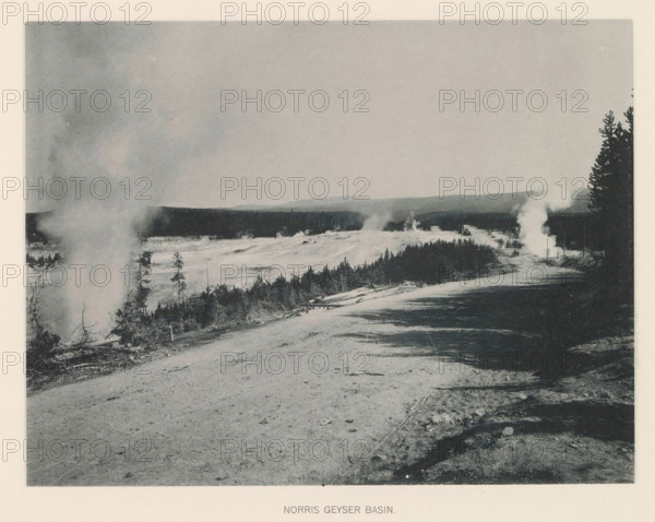 Norris Geyser basin, page, photomechanical print, photographer: Frank Jay Haynes, Yellowstone National Park, cliché maker: The Photo-gravure Co., New York (city), c. 1886 - in or before 1891, North America, paper, collotype, photoprint, height 165 mm x width 215 mm, hot spring, geyser, A wide monochrome landscape showing a dirt road in the foreground that leads into a basin with patches of vegetation and scattered trees, plumes of steam rising from multiple spots across the terrain, low distant hills on the horizon, denser trees framing the right edge, fallen logs and brush along the roadside, and a pale sky above.