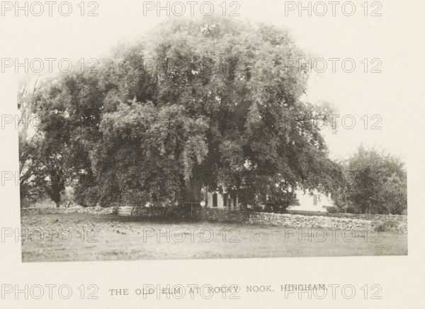 The old elm at Rocky Nook, Hingham, page, photomechanical print, number: 'V.', photographer: Henry Brooks, cliché maker: anonymous, United States of America, c. 1880 - in or before 1890, North America, Massachusetts, paper, collotype, photoprint, height 135 mm x width 190 mm, Photo for page 31., facade (of house or building), trees: elm, A large, dense tree with broad, drooping branches fills most of the scene, its foliage dark and textured against a pale sky, with a stone wall running along the base of the tree and a grassy open area in the foreground, and partially visible building structures behind and to the side of the tree.