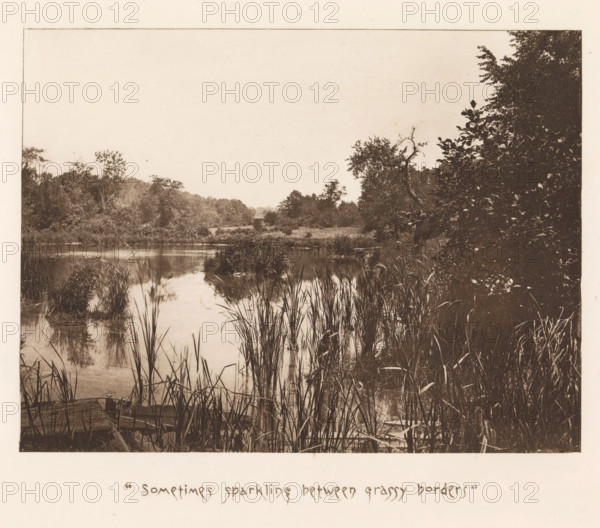 View of a pool near Sleepy Hollow, page, photomechanical print, inscription: ''Sometimes sparkling between grassy borders'', photographer: James Leon Williams, New York, cliché maker: The Photo-gravure Co., c. 1882 - in or before 1887, North America, paper, photoaquatint, height 144 mm x width 191 mm, pound, pool, A sepia-toned scene of a calm waterway edged by tall grasses and reeds in the foreground, with reflections visible on the water surface; dense clusters of leafy trees and shrubs frame the sides and recede into the background where more vegetation and a small structure are partially visible; the right side shows a darker mass of foliage with varied leaf shapes, and the left side and distant banks display lower bushes and treetops beneath a pale, open sky.