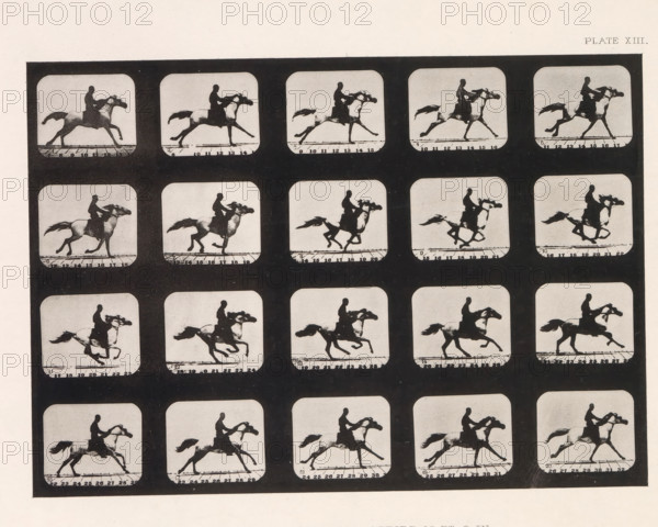 Twenty shots of a running horse, Mohammed, -Running. Stride, 15 Ft, 9 In., page, photomechanical print, number: 'Plate XIII.', photographer: Eadweard Muybridge, Stanford, cliché maker: anonymous, c. 1878 - in or before 1882, paper, photoaquatint, height 146 mm x width 206 mm, horse, Fast Motion, A grid of rectangular frames with rounded corners arranged in rows, each frame containing a black silhouette of a person riding a horse captured in various running poses, set against light gray backgrounds with dark borders between frames; the horse and rider silhouettes show different leg and tail positions across frames, and a horizontal dark line appears near the bottom of many frames.