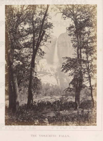 View of Yosemite Falls, The Yosemite Falls, photograph, page, number: 'X.', photographer: Carleton E. Watkins, Yosemite Valley, c. 1860 - in or before 1868, North America, California, paper, albumen print, height 206 mm x width 156 mm, waterfall, mountains, dale, valley, Yosemite National Park, Yosemitewaterval, A sepia-toned vertical photograph framed by a white border shows a forested foreground with tall trees and leafy branches partially obscuring a distant steep cliff face and a narrow waterfall descending between rock formations; the foreground ground is grassy with underbrush, tree trunks rise at varying angles, and the midground reveals rocky outcrops and more trees beneath the towering cliffs, all rendered in muted contrast and soft detail.