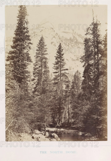 View of the North Dome in the Yosemite Valley, The North Dome, photograph, page, number: 'XIII.', photographer: Carleton E. Watkins, Yosemite Valley, c. 1860 - in or before 1868, North America, California, paper, albumen print, height 207 mm x width 155 mm, mountains, rock-formations, dale, valley, North Dome, A sepia-toned vertical photograph showing a forested mountain scene with tall conifer trees rising in the foreground and midground, a rocky stream flowing through the lower part of the image with stones along its banks, dense underbrush and smaller trees filling the lower areas, and large granite dome-like rock formations visible in the background behind the trees under a pale sky.