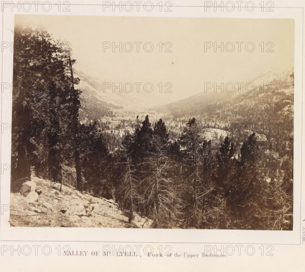 View of a valley at the foot of Mount Lyell in California, Valley of Mt. Lyell, Fork of the Upper Tuolumne, photograph, page, number: 'XXVIII.', photographer: W. Harris, California, c. 1860 - in or before 1868, North America, paper, albumen print, height 157 mm x width 209 mm, river, mountains, dale, valley, A sepia-toned landscape photograph showing a mountainous valley with a foreground of tall evergreen trees and some bare branched trees on a snow-dusted slope, denser dark trees filling the midground and receding into lighter, tree-covered hills and distant snow-covered peaks under a pale sky.