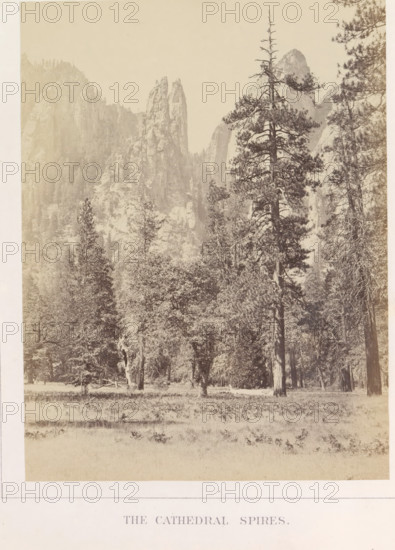 The Cathedral Spires, View of spiers at Middle Cathedral Rock in the Yosemite Valley, photograph, page, number: 'VII.', photographer: Carleton E. Watkins, Yosemite Valley, c. 1860 - in or before 1868, North America, California, paper, albumen print, height 207 mm x width 156 mm, mountains, rock-formations, dale, valley, A sepia-toned landscape photograph showing a meadow in the foreground with low grasses and scattered small plants, a stand of tall trees with varied trunks and branching patterns occupying the middle ground, and steep rocky cliffs and pointed rock formations rising in the background; a particularly tall conifer with visible branches and sparse upper growth stands prominently toward the right side, while other trees with fuller canopies appear nearer the center and left, and the overall image has a faded, vintage appearance with soft tonal contrasts.