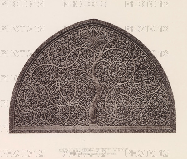 Copy of a decorated window of the Sidi Saiyyed Ni Jaali Mosque in Ahmedabad, Gujarat, India, page, photomechanical print, title: 'COPY OF THE SECOND BHUDDER WINDOW', number: 'V.', inscription: 'In MR. FOREST'S POSSESSION, NEW YORK.', Ahmedabad (city), maker: Heliotype Printing Company, Boston (Massachusetts), c. 1875 - in or before 1885, Heliotype Printing Company, photographer, North America, Massachusetts, paper, photoaquatint, height 160 mm x width 233 mm, ornament derived from plant forms, window, A close-up of the upper portion of a rounded, arched stone or carved panel filled with an intricate, repeating pattern of interlacing vines and floral motifs, with a central vertical trunk-like form that branches into curling tendrils and stylized leaves; the surface shows dense, symmetrical arabesque designs within circular compartments and a decorated border running along the curved edge, all rendered in a monochrome, high-contrast tone against a pale background.