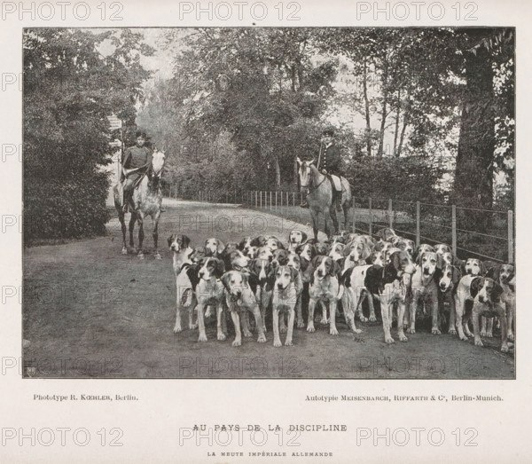 View of a group of dogs in front of two unknown men on horseback, probably for hunting, Au pays de la discipline, page, photomechanical print, inscription: 'Le muete impériale allemande', photographer: R. Koehler, cliché maker: Meisenbach, Riffarth & Cie., c. 1887 - in or before 1892, paper, collotype, photoprint, height 114 mm x width 160 mm, adult man, dog, horse, riding a horse, ass, or mule, rider, horseman, A wide, grainy black and white scene shows a group of dogs filling the foreground, standing shoulder to shoulder and facing forward, with two mounted riders positioned behind them on a tree-lined road; trees and foliage frame both sides and a low fence runs along the right side, while the surface of the road stretches back into the shaded distance.