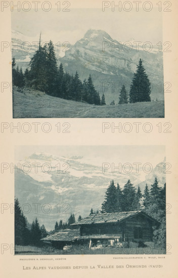 View of the Alps in Vaud, Switzerland, Les Alpes vaudoises depuis la Vallée des Ormonds (vaud), page, photomechanical print, maker: Eugène Demole, maker: George Wolf, c. 1892 - in or before 1897, paper, collotype, photoprint, height 80 mm x width 110 mm, mountains, Alps, Vaud (canton), A vertical image containing two rectangular landscape photographs stacked with a pale border between them, both rendered in a muted blue-green tone; the upper photograph shows a grassy foreground leading to a stand of tall evergreen trees on a gentle slope and, beyond them, a large rugged mountain with snow patches under a pale sky; the lower photograph shows a wooden cabin with a layered roof set among evergreen trees, with a mountainous backdrop featuring snow-covered ridges and a pale sky.