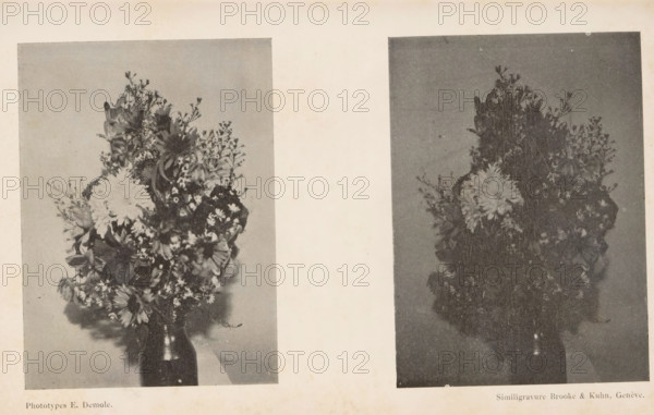 Aluminium et Magnesium, Two lighting studies, depicting a bunch of flowers in a vase, page, photomechanical print, maker: Eugène Demole, maker: Brooke & Kühn, c. 1892 - in or before 1897, paper, autotypie, height 142 mm x width 223 mm, flowers in a vase, A grayscale image showing two separate rectangular photographs of floral arrangements side by side on a light background, each photograph depicting a tall bouquet with varied blossoms and foliage rising from a narrow-necked vase, the left photograph showing a lighter-toned bouquet with a prominent round, multi-petaled flower near its center and scattered smaller flowers and leaves cascading downward, while the right photograph shows a darker-toned bouquet with a similar round flower positioned slightly lower and foliage that appears denser and more vertical, both photographs framed by thin margins and set against a slightly aged, speckled paper surface.