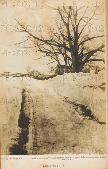 View of a country road in the snow, Christmastide, photograph, page, inscription: 'Imprimé sur papier Velox au gélatino-bromure d'argent de la Neperachemical Society, New-York.', photographer: M. Floyd, Vail (possibly), printer (person): Nepera Chemical Company, New York (city), c. 1892 - in or before 1897, M. Floyd, Nepera Chemical Company, photographer, printer (person), North America, Colorado, Vail, paper, gelatin silver print, developing gelatin silver print, height 189 mm x width 140 mm, road, path, snow, A sepia-toned photograph showing a snow-lined dirt path leading toward a large leafless tree with many bare branches reaching outward; high snowbanks flank the path and smaller bare trees and a wooden fence appear in the background, with the sky visible above and the ground textured with footprints and tracks.
