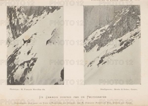 Un Chamois surpris par un Photographie, Two images of a chamois in the snow, page, photomechanical print, inscription: 'Extrait de la Patrie Suisse, No 115.', inscription: 'Instantanés pris dans les Vires d'Argentine sur Solalex, par M. François Moreillon Fils, Guides aux Plans.', maker: Moreillon, François fils., maker: Brooke & Kühn, c. 1893 - in or before 1898, Moreillon, Brooke & Kühn, paper, autotypie, height 144 mm x width 225 mm, Prints opposite page 56., snow, hoofed animals: chamois, Argentina, Two vertically oriented rectangular photographs show steep snow-covered mountain slopes with exposed dark rocky outcrops and patches of snow; the left photograph displays a diagonal snowfield with scattered dark rock shapes and a jagged rock face at the top, while the right photograph features a steep rocky cliff with snow-filled crevices and a dark silhouette of an animal standing on a snowy ledge; a wide pale margin separates the two images and a pale background surrounds them.