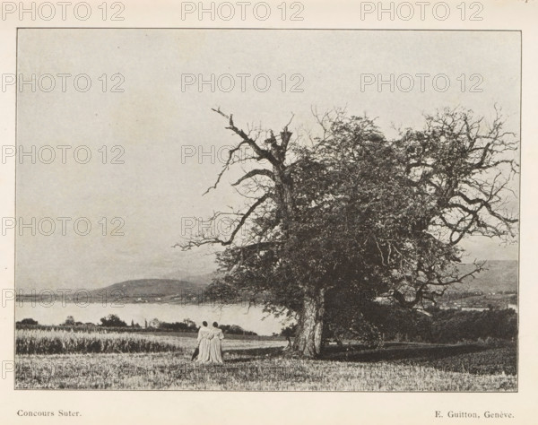 Two women in a meadow, with hills and a lake in the background, page, photomechanical print, inscription: 'Concours Suter.', monogram: 'AG ph.', inscription: 'Phot. Corresp.', maker: Eug. Guitton, Switzerland (possibly), cliché maker: unknown, c. 1894 - in or before 1899, clichémaker, paper, autotypie, height 105 mm x width 146 mm, adult woman, lake, low hill country, A wide landscape photograph showing a large, gnarled tree with many branches and dense foliage dominating the right side, a grassy field extending in front of and around the tree, a distant body of water and low hills on the horizon, and two figures standing close together near the base of the tree facing away from the camera.