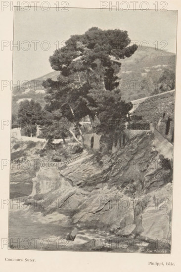 Mountain landscape, page, photomechanical print, monogram: 'AG ph.', inscription: 'Phot. Corresp.', inscription: 'Concours Suter', maker: Philippi, cliché maker: unknown, c. 1894 - in or before 1899, paper, autotypie, height 149 mm x width 100 mm, landscapes, trees, mountains, A vertical grayscale photograph of a rocky coastal scene with a large, dense tree at the top of a cliff. The tree has a broad canopy and multiple trunks and branches extending outward, with foliage forming dark masses against a lighter sky. Below the tree, a stone structure with arched openings is partially visible set into the cliff face, and a decorative railing runs along a ledge near the cliff edge. Jagged rock formations descend from the cliff into turbulent water at the bottom of the image, with visible waves and foam around protruding rocks. In the background, sloping hills and scattered vegetation create a layered landscape behind the main cliff and tree.
