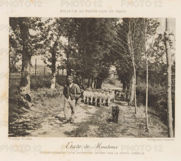 Shepherd with flock of sheep on a country road, Etude de Moutons, page, photomechanical print, inscription: 'Agrandissement d'un Phototype obtenu par la Photo-Jumelle', inscription: 'Bulletin du Photo-Club de Paris', photographer: Thuillier, cliché maker: Dujardin, c. 1888 - in or before 1893, Thuillier, Dujardin, photographer, clichémaker, paper, photoaquatint, height 108 mm x width 149 mm, herding, herdsman, herdswoman, shepherd, shepherdess, cowherd, sheep, herd, flock, A black and white photograph of a tree-lined dirt path with tall trees on both sides and dappled light through the leaves, showing a man walking toward the camera wearing a cap, jacket, trousers, and carrying a long stick, with a flock of sheep following behind him and a dog walking ahead on the path, framed by trunks and foliage and bordered by light-colored margins.