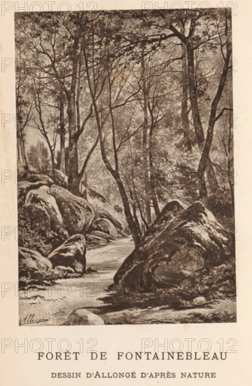 Reproduction of Forêt de Fontainebleau by Auguste Allongé, Forêt de Fontainebleau, reproduction, page, photomechanical print, inscription: 'Lefevre - Photographie', cliché maker: anonymous, after design by Auguste Allongé, printer (person): Lemercier & Cie., Paris, c. 1883 - in or before 1888, photographer, printer (person), paper, Woodburytype, Woodburytypepie, height 107 mm x width 75 mm, Print opposite title page., forest, wood, painting, drawing and the graphic arts, A vertical monochrome scene showing a wooded landscape with tall slender trees and branching limbs extending upward and across the image, trunks and thin branches creating a dense network against a textured background; large irregular boulders and rock formations occupy the lower foreground and midground, with a narrow stream or path winding between the rocks toward the background; foliage and undergrowth are visible around the rocks and along the bases of the trees, and the overall image has a shaded, etched appearanc...
