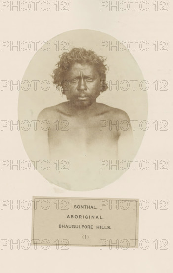 Portrait of an unknown man from the Santhal tribe in eastern India, photograph, page, number: '(1)', inscription: 'SONTHAL., ABORIGINAL., BHAUGULPORE HILLS.', Bhagalpur, c. 1858 - in or before 1868, photographer, North India, Bihar, paper, albumen print, height 129 mm x width 105 mm, human races, peoples, nationalities, Jharkhand, Rajmahal hills, A faded oval sepia portrait of a bare-chested person with dark skin and curly hair is centered on a light background, showing a frontal view from the shoulders up with a neutral expression and slightly tousled hair, and a rectangular framed area beneath the portrait containing printed lines.