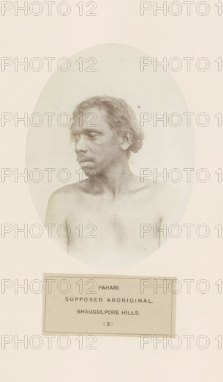 Portrait of an unknown man from the Mal Paharia tribe in eastern India, photograph, page, inscription: 'PAHARI., SUPPOSED ABORIGINAL., BHAUGULPORE HILLS.', number: '(3)', Bhagalpur, c. 1858 - in or before 1868, photographer, North India, Bihar, paper, albumen print, height 146 mm x width 110 mm, human races, peoples, nationalities, Jharkhand, Rajmahal hills, A monochrome oval portrait of a bare-chested man shown from the shoulders up, turned slightly to his left with short, wavy hair and a neutral expression, set against a pale background and mounted on a lighter rectangular page with a bordered label beneath the oval.
