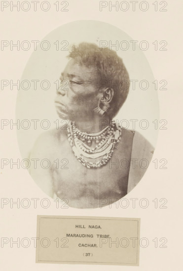 Portrait of an unknown man from the Naga tribe of Assam, photograph, page, number: '(37)', inscription: 'HILL NAGA., MARAUDING TRIBE., CACHAR.', photographer: Benjamin Simpson (possibly), Assam, c. 1858 - in or before 1868, paper, albumen print, height 158 mm x width 120 mm, human races, peoples, nationalities, A sepia-toned oval portrait of a person shown from the chest up in profile facing left, with short textured hair and visible facial contours, wearing layered beaded necklaces and an earring consisting of radiating elements; the shoulders and upper chest are partially visible and one arm appears draped with a fabric, all set against a pale background with a rectangular label beneath the portrait.