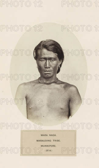 Portrait of an unknown man from the Naga community of Manipur, photograph, page, number: '(37 A)', inscription: 'MARA NAGA., MARAUDING TRIBE., MUNNIPORE.', photographer: Benjamin Simpson (possibly), Manipur, c. 1858 - in or before 1868, paper, albumen print, height 160 mm x width 120 mm, human races, peoples, nationalities, A sepia-toned oval portrait of a bare-chested person with short dark hair swept back, a neutral facial expression, and a necklace around the neck, set against a light background and mounted on a pale page with a rectangular label below the oval.