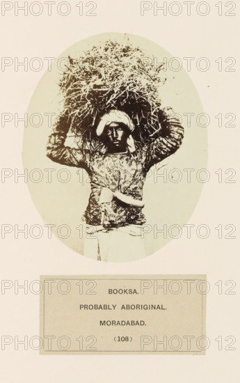 Portrait of an unknown man carrying branches from the Bhoksa community of Moradabad, Uttar Pradesh, India, photograph, page, inscription: 'BOOKSA., PROBABLY ABORIGINAL., MORADABAD.', number: '(108)', Moradabad, c. 1858 - in or before 1868, photographer, North India, paper, albumen print, height 119 mm x width 96 mm, human races, peoples, nationalities, An oval sepia photograph of a person standing and facing the camera while balancing a large bundle of straw or grass on their head, wearing a patterned long-sleeved top and a light cloth wrapped around the waist, with a cloth wrapped around the head and arms raised to steady the bundle, set against a pale background and mounted above a rectangular label area.