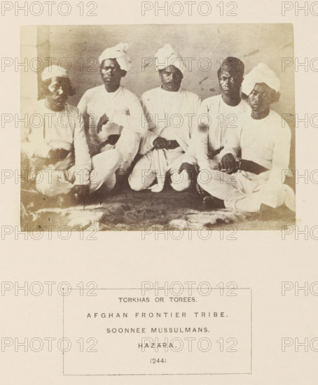 Portrait of five unknown men from the Turi tribe of Hazara, Khyber Pakhtunkhwa, Pakistan, photograph, page, inscription: 'TORKHAS OR TOREES., AFGHAN FRONTIER TRIBE., SOONNEE MUSSULMANS., HAZARA.', number: '(244)', Hazara, c. 1862 - in or before 1872, photographer, paper, albumen print, height 86 mm x width 115 mm, human races, peoples, nationalities, A sepia-toned photograph shows five seated men arranged closely in a row against a plain background, each wearing light-colored, long-sleeved garments and head coverings including wrapped turbans and a cap; their skin tones appear dark and their expressions are neutral or serious, with most looking toward the camera; their hands rest on their laps or knees and some sit cross-legged on a textured floor covering; the paper around the photograph shows a printed rectangular caption block below the image.
