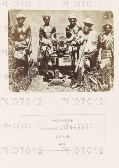 Group of four men from the Korku tribe and a British hunter around a table with a head of bison on it in the former Berar in central India, photograph, page, inscription: 'KORKOOS., ABORIGINAL TRIBE., BERAR.', number: '404', photographer: James Mulheran (possibly), Berar, 1862, paper, albumen print, height 77 mm x width 99 mm, hunter, hoofed animals: bison, human races, peoples, nationalities, A sepia-toned photograph shows a group of six people standing outdoors behind a mounted buffalo head placed on a decorative stand; four of the people appear shirtless and wear cloth wraps around their waists with headwraps, one person wears a hat and long-sleeved shirt and holds a long object, and another person at the far right wears a wrap around the torso; vegetation is visible along the lower edges and a light background fills the upper area.