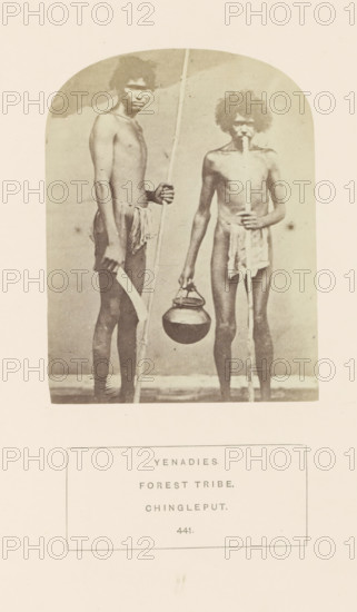 Portrait of two unknown men from the Yenadi tribe with a pot, knife and sticks, Chengalpattu, Tamil Nadu, India, photograph, page, number: '441.', inscription: 'YENADIES., FOREST TRIBE., CHINGLEPUT.', c. 1865 - in or before 1875, photographer, South India, paper, albumen print, height 115 mm x width 88 mm, human races, peoples, nationalities, A sepia-toned photograph shows two naked men standing side by side against a plain backdrop, each with curly hair and lean bodies; the man on the left holds a tall slender pole in one hand and a long curved knife in the other while wearing a small cloth around his waist, and the man on the right holds a similar pole with one hand, has a narrow object held in his mouth, and holds a rounded pot by its handle in his other hand, both standing on a light-colored floor within an arched photographic frame.