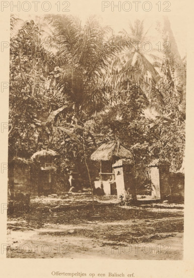 Sacrificial temples on a Balinese yard, View of a sacrificial temple in a wooded area, page, photomechanical print, maker: Christiaan Johan Neeb, c. 1892 - in or before 1897, paper, collotype, photoprint, height 164 mm x width 119 mm, trees, places and objects of worship, non-Christian religions, Indonesia, A sepia-toned photograph showing dense tropical vegetation with large palm fronds and broad leaves filling the upper and middle parts of the image, and small thatched-roof structures and low brick pillars partially visible among the foliage toward the lower middle, with a ground area of bare soil and scattered debris in the foreground.