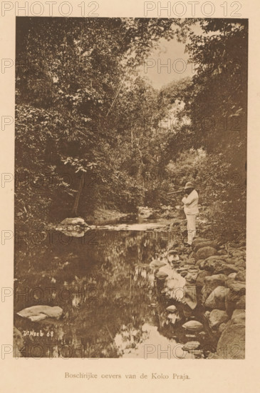 View of an unknown European man with a rifle on the bank of a river, Wooded banks of the Koko Praja, page, photomechanical print, maker: Christiaan Johan Neeb, c. 1892 - in or before 1897, paper, collotype, photoprint, height 166 mm x width 114 mm, historical persons, adult man, firearms, river bank, Indonesia, A sepia-toned photograph of a shallow river or stream bordered by a rocky bank with rounded stones, dense foliage and tall trees forming a leafy canopy above, a reflection of the trees and sky visible on the water surface, and a person standing on the right bank wearing light-colored clothing and a hat while holding a long object horizontally.
